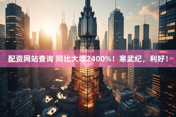 配资网站查询 同比大增2400%！寒武纪，利好！